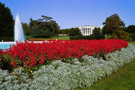The South Grounds Fountain is encircled by Salvia (Red Flare) and Dusty Miller during the 2004 fall garden season at the White House. White House photo by Tina Hager.