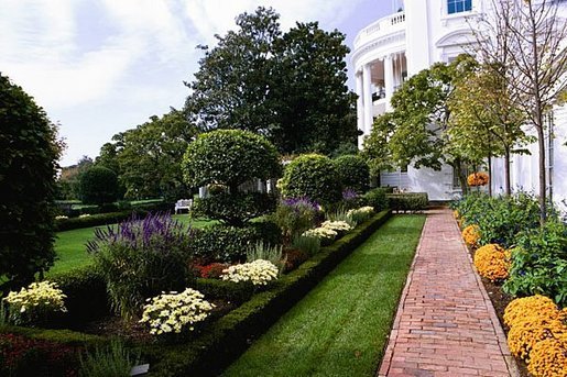 Salvia’s purple hues balance the Chrysanthemums’ orange flair in the Jacqueline Kennedy Garden of the White House gardens during the 2004 season. White House photo by Tina Hager.