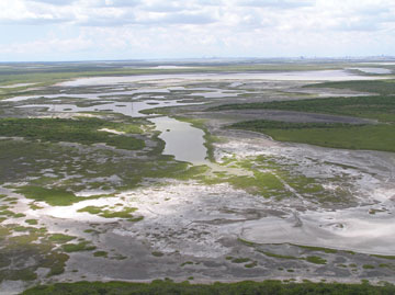 Wetlands purchased in the Nueces River Delta of the Coastal Bend area near Corpus Christi, Texas. (EPA)
