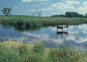 This wetland restoration project—in a focus area of the South Dakota Partners for Fish and Wildlife Program—benefits high-priority migratory bird species. (FWS)