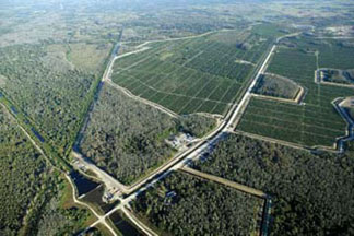 The USACE water retention area and feeder canal of the Seminole Big Cypress Water Conservation Project will enhance the quality of water in the 52,000-acre Big Cypress Reservation of the Seminole Tribe in Florida and nearby Big Cypress National Reserve and Everglades. The project will also improve wetlands by returning more natural hydroperiods. (USACE)