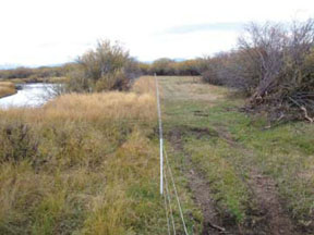 The Intermountain West Joint Venture, composed of multiple partners under the North American Waterfowl Management Plan, worked with ranchers to install 12 miles of wildlife-friendly fencing to improve 1,200 acres of riparian wetlands along the Big Hole River in Montana. (FWS)