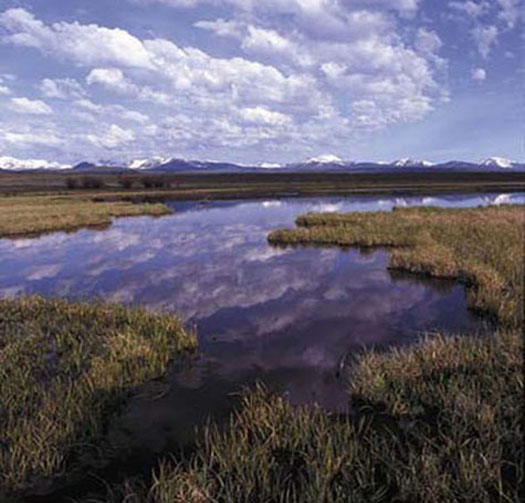 Planning, modeling, tracking accomplishments, monitoring effectiveness, research, and adaptive management will become increasingly important as federal agencies, working with partners, continue to restore or create, improve, and protect wetlands and embark on habitat adaptation to climate change. (FWS)