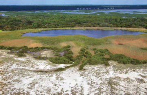 Large-scale coastal modifications and hurricane events closed South Carolina’s 35-acre Sandpiper Pond to tidal flows.