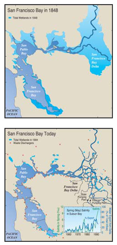The San Francisco Bay estuary and Delta at the time of the discovery of gold in the Sierra Nevada foothills (first panel) and at present (second panel). (USGS)