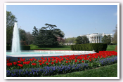 Click here to White House Gardens – Spring Photo Essays