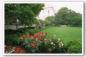 Link to White House Gardens – Summer Photo Essays