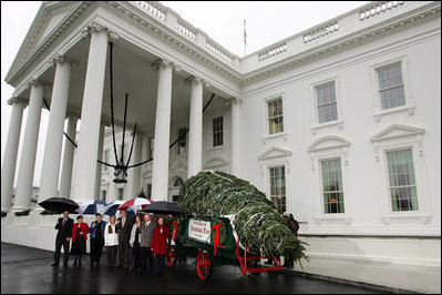 Mrs. Laura Bush welcomes the arrival of the official White House Christmas tree Sunday, Nov. 30, 2008, to the North Portico of the White House. The Fraser Fir tree, from the River Ridge Farms in Crumpler, N.C., will be on display in the Blue Room of the White House for the 2008 Christmas season. Joining Mrs. Bush, from left are, Mark Steelhammer, president of National Christmas Tree Association, his wife Luanne, Carol Pennington, Ann Estes, Russell Estes of River Ridge Farms in Crumpler, NC, Michelle Davis, and Jessie Davis of River Ridge Farms in Crumpler, NC.