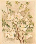 -Flowering Dogwood- by First Lady Caroline Harrison