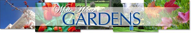 White House Gardens Front Page