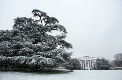 Snow covers the South Lawn of the White House and the atlas cedar tree Monday morning, Jan. 22, 2007, creating a winter season postcard scene.