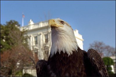 As the Easter Bunny poses for photos, April 1, 2002, a bald eagle makes an appearance at the White House Easter Egg Roll courtesy of Jack Hanna's Animal Adventures.