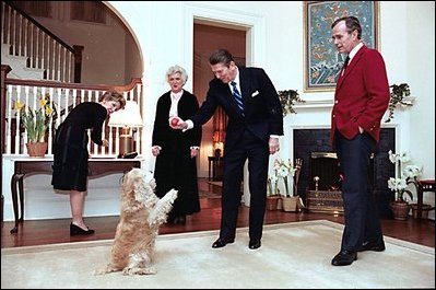 Then President Ronald Reagan and Nancy Reagan spend an evening with then Vice President George H.W. Bush, Barbara Bush and their dog C. Fred at the Naval Observatory Feb 12, 1981.