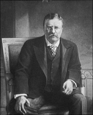 Theodore Roosevelt Essay