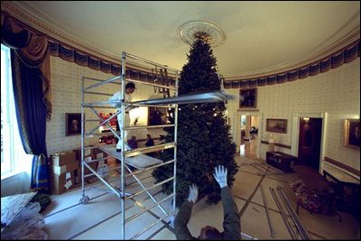 This year's tree is an 18-foot Noble Fir from the Hedlund Christmas Farm in Elma, Washington.