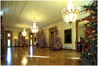 Many of the presidential animals can be found along the mantles in the East Room. This room, where so many important White House events are held, is decorated in spruce trees and garland to complete the East Room's bright and festive decorations.