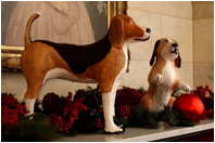 President Lyndon Johnson's two famous beagles, Him and Her, loved to chase balls and race down the halls of the White House. President Johnson also had another dog named Yuki, who liked to perform in the Oval Office. Johnson's daughter Luci found Yuki at a Texas gas station. President Johnson served from 1963 to 1969.