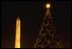 The Washington Monument glows behind the soon-to-be-lit 1979 tree. In 1978, a Colorado blue spruce from York, Pennsylvania, was planted on the Ellipse as the national living tree. 