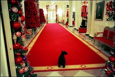 As the White House is decorated for the season's Christmas receptions, Barney takes his own private tour of the Cross Hall.