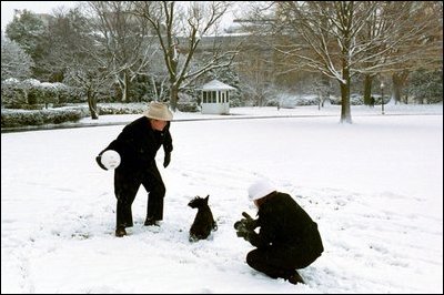 President Bush and Barney take a few moments on the South Lawn to enjoy the season's first snowfall.