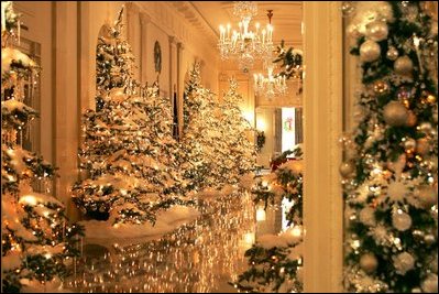 Christmas trees line the Cross Hall for the 2004 Christmas season at the White House.