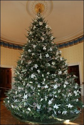 The White House Christmas Tree, a large Fraser Fir, is seen fully decorated in the Blue Room of the White House, Wednesday, Nov. 30, 2005.