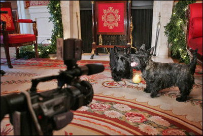Barney and Miss Beazley prepare for their close up during the making this year's Barney Cam in the Red Room.