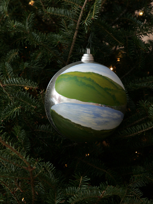 Iowa Congressman Steve King selected artist Dotty Seymour to decorate the 5th District's ornament for the 2008 White House Christmas Tree. 