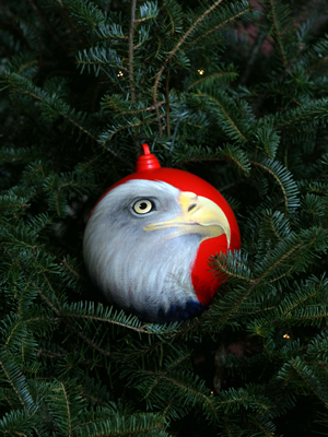 Wisconsin Congressman Steve Kagen selected artist Judy Pubanz to decorate the 8th District's ornament for the 2008 White House Christmas Tree.