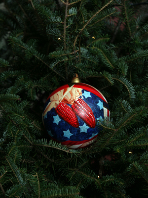 Missouri Congressman Sam Graves selected artist Vicky Strong to decorate the 6th District's ornament for the 2008 White House Christmas Tree. 
