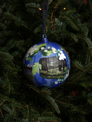 Idaho Congressman Mike Simpson selected the Color Pencil Society of America, District Chapter 217 of Idaho Falls to decorate the 2nd District's ornament for the 2008 White House Christmas Tree. 