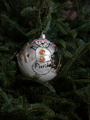 Florida Congressman Robert Wexler selected artist Angelina Brier to decorate the 19th District's ornament for the 2008 White House Christmas Tree.