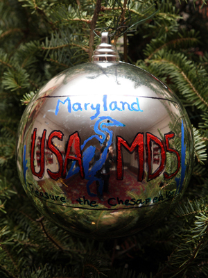Maryland Congressman Steny H. Hoyer selected artist Ian Goldin to decorate the 5th District's ornament for the 2008 White House Christmas Tree.