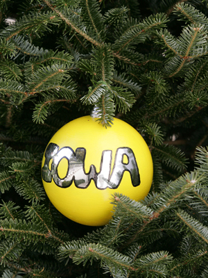 Iowa Congressman Leonard Boswell selected artist Laura McNichols to decorate the 3rd District's ornament for the 2008 White House Christmas Tree. 