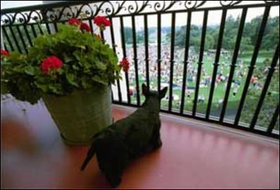 Barney looks over the Fourth of July crowd from the Truman Balcony.