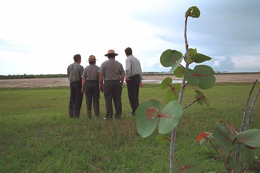 Guided by the National Park Service Officers, President George W. Bush, far left, and Governor Jeb Bush, far right, survey the landscape at Everglades National Park, Fla., June 4, 2001. White House photo by Eric Draper.