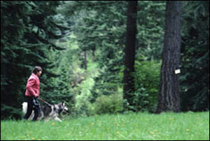 a woman and her dog walk along a public trail