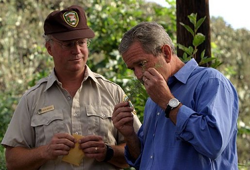 President George W. Bush smells a branch of sage with Ralph Waycott, volunteer coordinator of the Rancho Sierra Vista Nursery, during a tour of the Santa Monica Mountains National Recreation Area in Thousand Oaks, Calif. File photo. White House photo by Paul Morse.