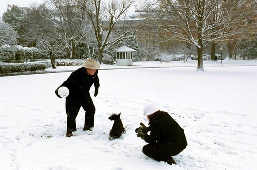 President Bush and Barney take a few moments on the South Lawn to enjoy the season's first snowfall. White House photo by Tina Hager