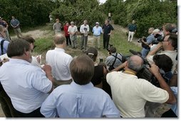 After touring the hurricane damage to Marty and Pat McKenna's orange groves, President George W. Bush addresses the media at the their farm in Lake Wales, Fla., Sept. 29, 2004.   White House photo by Eric Draper
