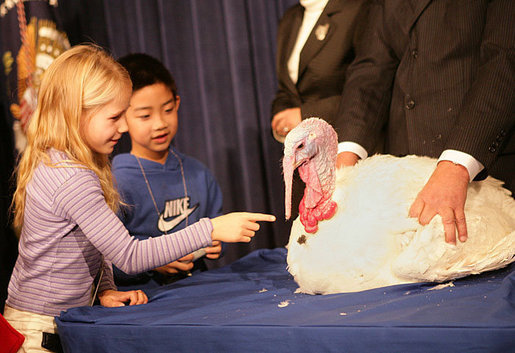 President George W. Bush invites the children of Clarksville Elementary School on stage to pet "Marshmallow", the National Thanksgiving Turkey, during the Tuesday, November 22, 2005 pardoning ceremony, held in the Eisenhower Executive Office Building in Washington. White House photo by Shealah Craighead