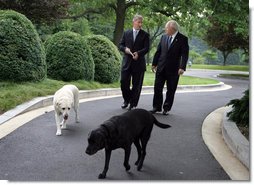 Vice President Dick Cheney is joined by his dogs Dave, left, and Jackson, right, during an interview with John King of CNN, Thursday, June 22, 2006, at the Vice President’s Residence at the Naval Observatory in Washington D.C. White House photo by David Bohrer