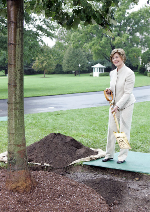 Mrs. Laura Bush plants a Silver Leaf Linden tree during a commemorative tree planting ceremony Saturday, Sept. 27, 2008, on the South Lawn of the White House. The tradition of planting a commemorative tree dates back to 1830 when President Andrew Jackson planted two Southern Magnolias on either side of the South Portico of the White House. White House photo by Joyce N. Boghosian