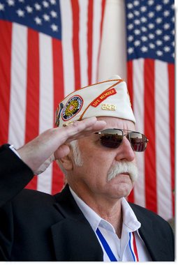Veteran Lloyd Gibbs of the Army/Navy Union USA salutes Tuesday, Nov. 11, 2008, during Veterans Day ceremonies at Arlington National Cemetery in Arlington, Va.  
