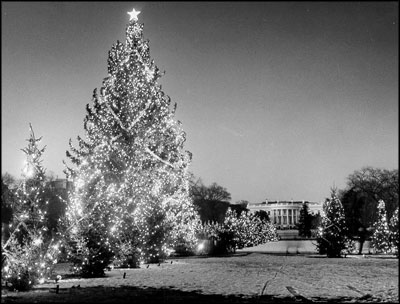  1963 National Community Christmas Tree.