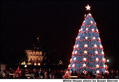2001 National Community Christmas Tree.