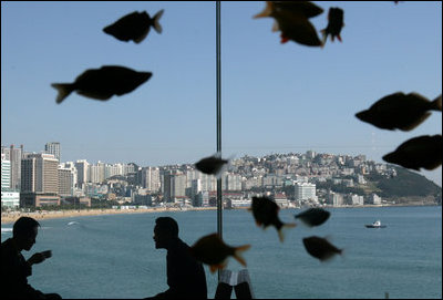 Summit-goers enjoy a beverage as they sit in the Chosun Westin Hotel in Busan, Korea Saturday, Nov. 19, 2005. In the background is Haeundae Beach and Suyeong Bay.