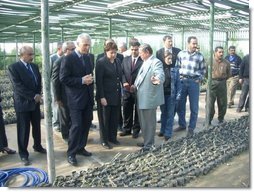  Agriculture Secretary Ann M. Veneman tours a nursery in Erbil, Iraq.