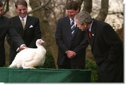 President George W. Bush participates in the annual ceremonial pardoning in the Rose Garden, on November 26, 2002. White House photo by Paul Morse