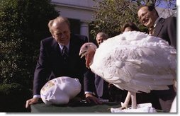 President Ford, 1975. Courtesy Gerald R. Ford Library.